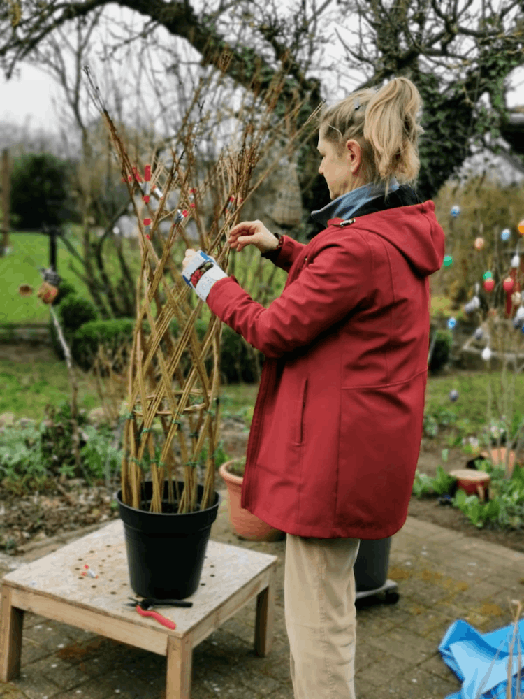 So entsteht eine lebende Säule.