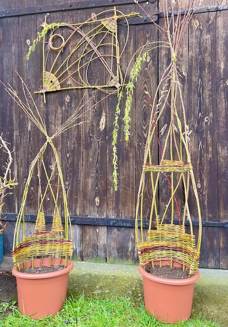 Rankspaliere für Topfpflanzen